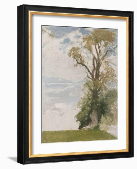 An Old Elm, Blewbury, Berkshire, 1946 (Oil on Board)-William Nicholson-Framed Giclee Print