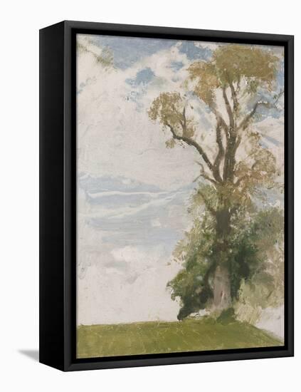 An Old Elm, Blewbury, Berkshire, 1946 (Oil on Board)-William Nicholson-Framed Premier Image Canvas