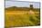 An Old Farm Building in a Field Next to the Mars Hill Wind Farm in Mars Hill, Maine-Jerry and Marcy Monkman-Mounted Photographic Print