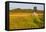 An Old Farm Building in a Field Next to the Mars Hill Wind Farm in Mars Hill, Maine-Jerry and Marcy Monkman-Framed Premier Image Canvas