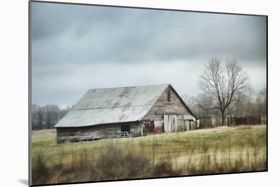 An Old Gray Barn-Jai Johnson-Mounted Giclee Print