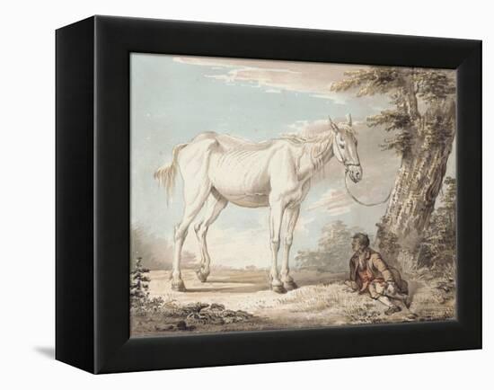 An Old Grey Horse Tethered to a Tree, a Boy Resting Nearby-Paul Sandby-Framed Premier Image Canvas