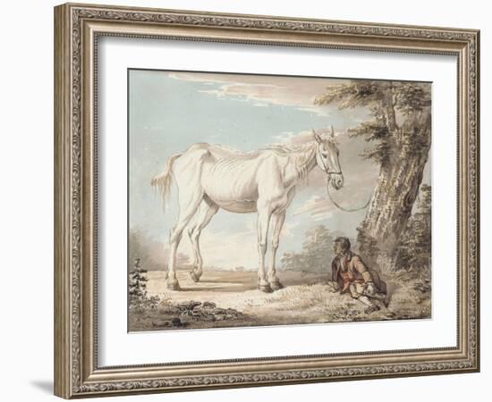 An Old Grey Horse Tethered to a Tree, a Boy Resting Nearby-Paul Sandby-Framed Giclee Print