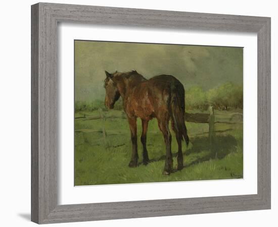 An Old Horse Standing in a Pasture with a Fence-Anton Mauve-Framed Art Print