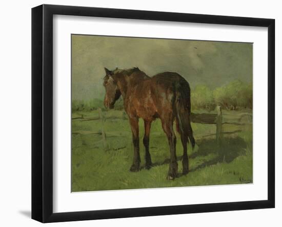 An Old Horse Standing in a Pasture with a Fence-Anton Mauve-Framed Art Print