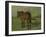 An Old Horse Standing in a Pasture with a Fence-Anton Mauve-Framed Art Print