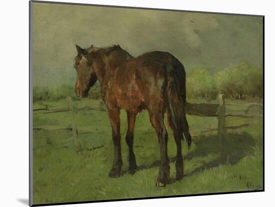 An Old Horse Standing in a Pasture with a Fence-Anton Mauve-Mounted Art Print