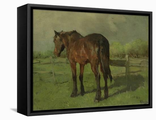 An Old Horse Standing in a Pasture with a Fence-Anton Mauve-Framed Stretched Canvas