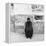 An Old Man from Sicily-Mario de Biasi-Framed Premier Image Canvas