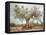 An Old Olive Tree-Roland Andrijauskas-Framed Premier Image Canvas