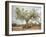 An Old Olive Tree-Roland Andrijauskas-Framed Photographic Print