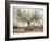 An Old Olive Tree-Roland Andrijauskas-Framed Photographic Print