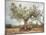 An Old Olive Tree-Roland Andrijauskas-Mounted Photographic Print