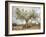 An Old Olive Tree-Roland Andrijauskas-Framed Photographic Print