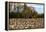 An Old Wooden Barn in a Cotton Field in South Georgia, USA-Joanne Wells-Framed Premier Image Canvas