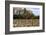 An Old Wooden Barn in a Cotton Field in South Georgia, USA-Joanne Wells-Framed Photographic Print