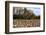 An Old Wooden Barn in a Cotton Field in South Georgia, USA-Joanne Wells-Framed Photographic Print