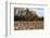 An Old Wooden Barn in a Cotton Field in South Georgia, USA-Joanne Wells-Framed Photographic Print