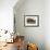 An Old Wooden Barn in a Cotton Field in South Georgia, USA-Joanne Wells-Framed Photographic Print displayed on a wall