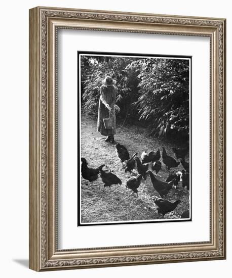 An Older Woman in a Long Dress and Wide-Brimmed Hat Throws Handfuls of Chicken Feed-null-Framed Art Print