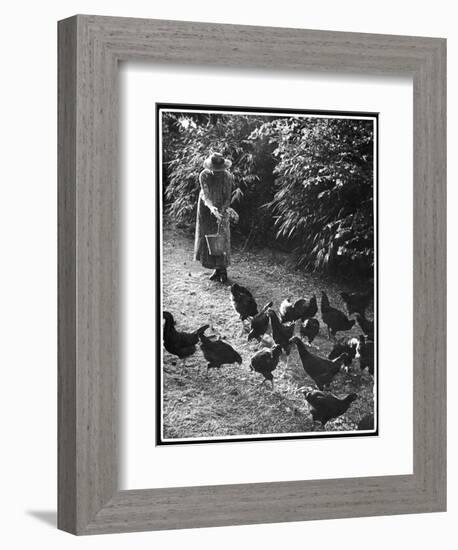 An Older Woman in a Long Dress and Wide-Brimmed Hat Throws Handfuls of Chicken Feed-null-Framed Art Print