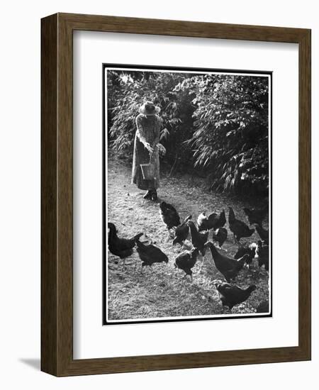 An Older Woman in a Long Dress and Wide-Brimmed Hat Throws Handfuls of Chicken Feed-null-Framed Art Print