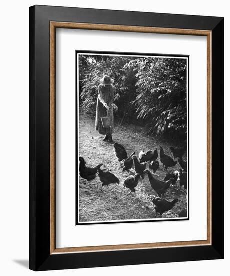 An Older Woman in a Long Dress and Wide-Brimmed Hat Throws Handfuls of Chicken Feed-null-Framed Art Print