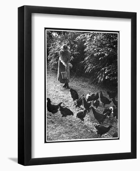 An Older Woman in a Long Dress and Wide-Brimmed Hat Throws Handfuls of Chicken Feed-null-Framed Art Print