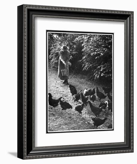 An Older Woman in a Long Dress and Wide-Brimmed Hat Throws Handfuls of Chicken Feed-null-Framed Art Print