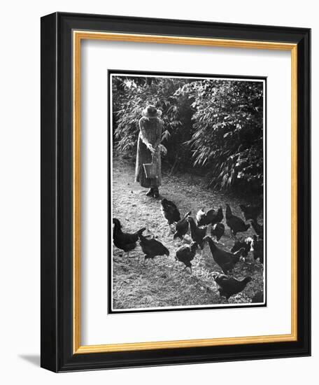 An Older Woman in a Long Dress and Wide-Brimmed Hat Throws Handfuls of Chicken Feed-null-Framed Art Print