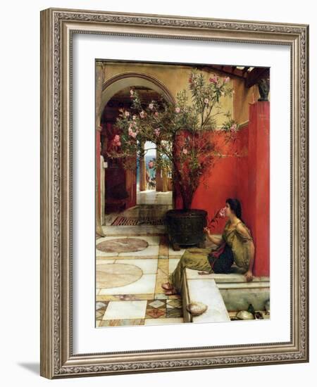 An Oleander, 1882-Sir Lawrence Alma-Tadema-Framed Giclee Print