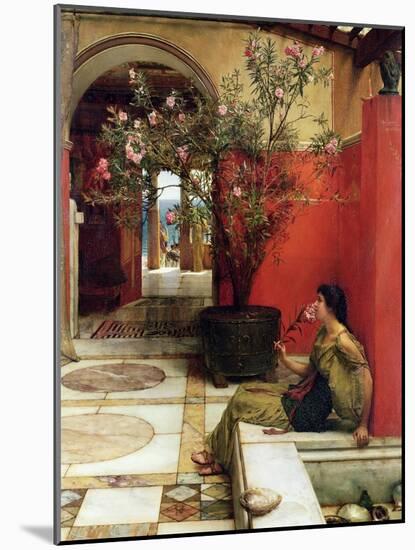 An Oleander, 1882-Sir Lawrence Alma-Tadema-Mounted Giclee Print