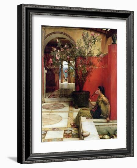 An Oleander, 1882-Sir Lawrence Alma-Tadema-Framed Giclee Print