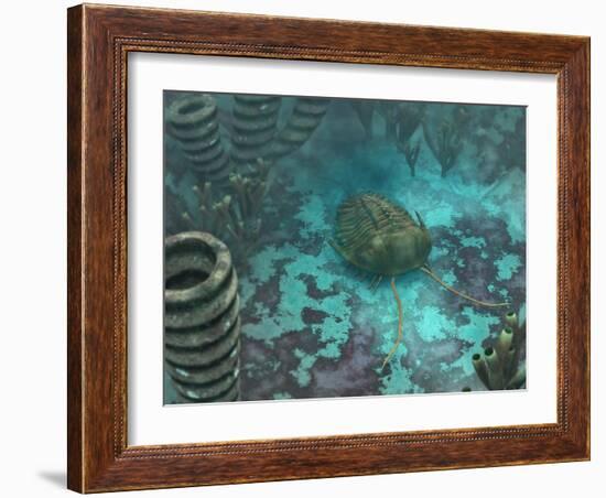 An Olenoides Trilobite Scurries across a Middle Cambrian Ocean Floor-Stocktrek Images-Framed Photographic Print