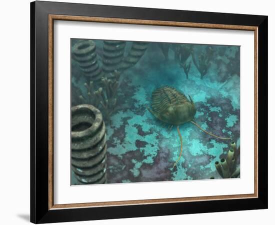 An Olenoides Trilobite Scurries across a Middle Cambrian Ocean Floor-Stocktrek Images-Framed Photographic Print