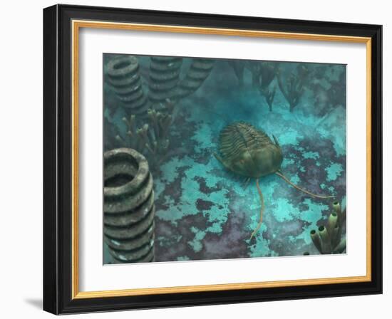 An Olenoides Trilobite Scurries across a Middle Cambrian Ocean Floor-Stocktrek Images-Framed Photographic Print