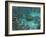 An Olenoides Trilobite Scurries across a Middle Cambrian Ocean Floor-Stocktrek Images-Framed Photographic Print