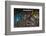 An open toolbox drawer filled with various handtools-Panoramic Images-Framed Photographic Print