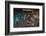 An open toolbox drawer filled with various handtools-Panoramic Images-Framed Photographic Print