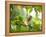 An Orange-Breasted Thornbird Perches on a Tree Branch in the Atlantic Rainforest-Alex Saberi-Framed Premier Image Canvas