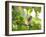 An Orange-Breasted Thornbird Perches on a Tree Branch in the Atlantic Rainforest-Alex Saberi-Framed Photographic Print