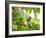 An Orange-Breasted Thornbird Perches on a Tree Branch in the Atlantic Rainforest-Alex Saberi-Framed Photographic Print