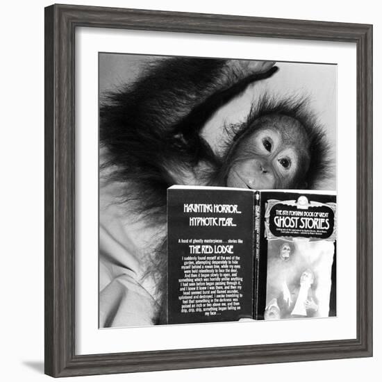 An Orangutan reading ghost stories-Staff-Framed Photographic Print