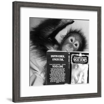 An Orangutan reading ghost stories-Staff-Framed Photographic Print