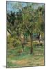 An Orchard under the Church of Bihorel, 1884-Paul Gauguin-Mounted Giclee Print