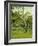 An Orchard-Claude Monet-Framed Giclee Print