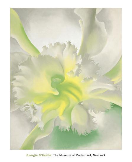 An Orchid 1941 Art Print Georgia O Keeffe Art Com