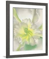 An Orchid, 1941-Georgia O'Keeffe-Framed Art Print