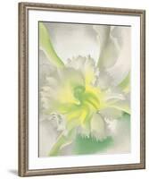 An Orchid, 1941-Georgia O'Keeffe-Framed Art Print