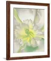 An Orchid, 1941-Georgia O'Keeffe-Framed Art Print